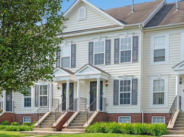 6295 Royal Tern Xing, Columbus, OH 43230