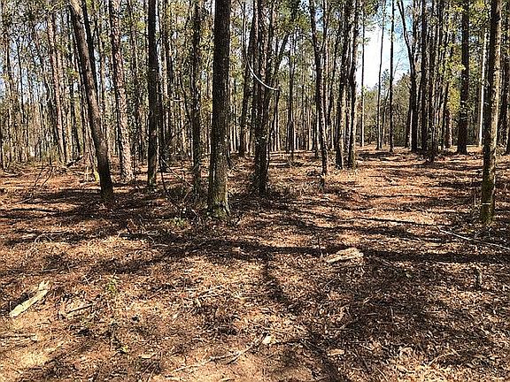 4th image of 12183 River Creek Dr