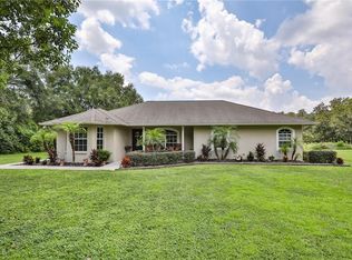 4618 Reola Rd, Dover, FL 33527