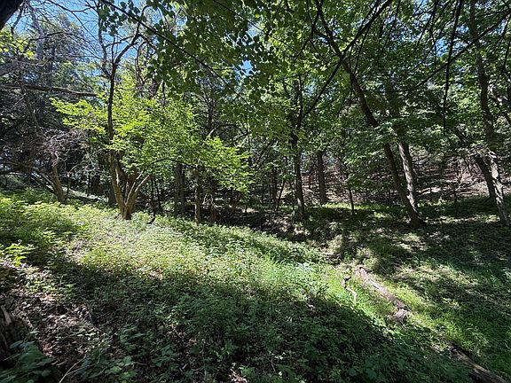 5th image of 10 / Acres