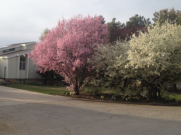 Spring is here