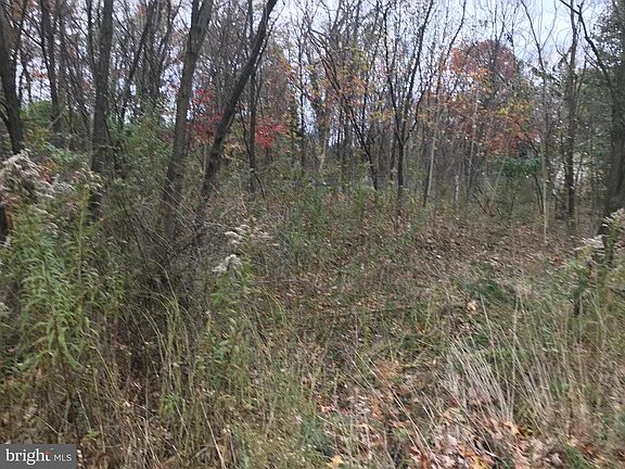 4th image of 11813 Illinois Ave
