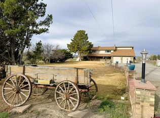 1405 Pioneer Road, Delta, CO 81416