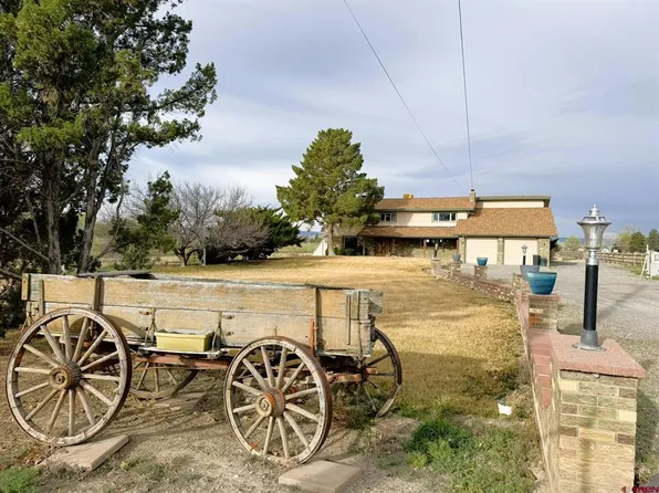 1405 Pioneer Road, Delta, CO 81416