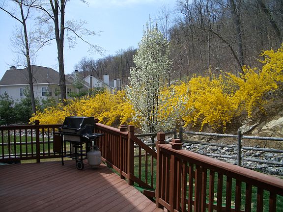 Rear View from Deck