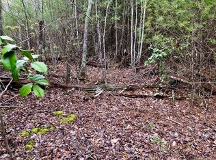 99999 John Tate Dr, Fairview, NC 28730