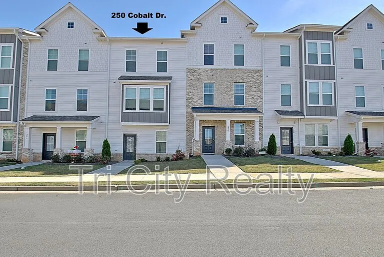 250 Cobalt Dr — Photo 1