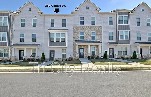 250 Cobalt Dr Photo 1