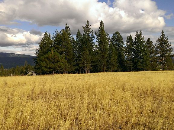 4th image of Skyline Dr