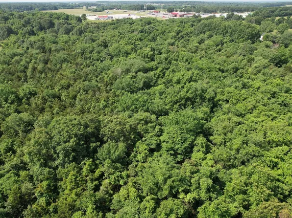 Tbd-2 W State Highway 266, Bois D Arc, MO 65612