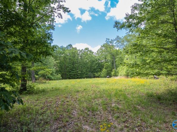 1203 County Road 303, Princeton, AL 35766