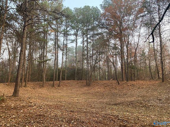3rd image of 4/ACRE S Mount Carmel Dr