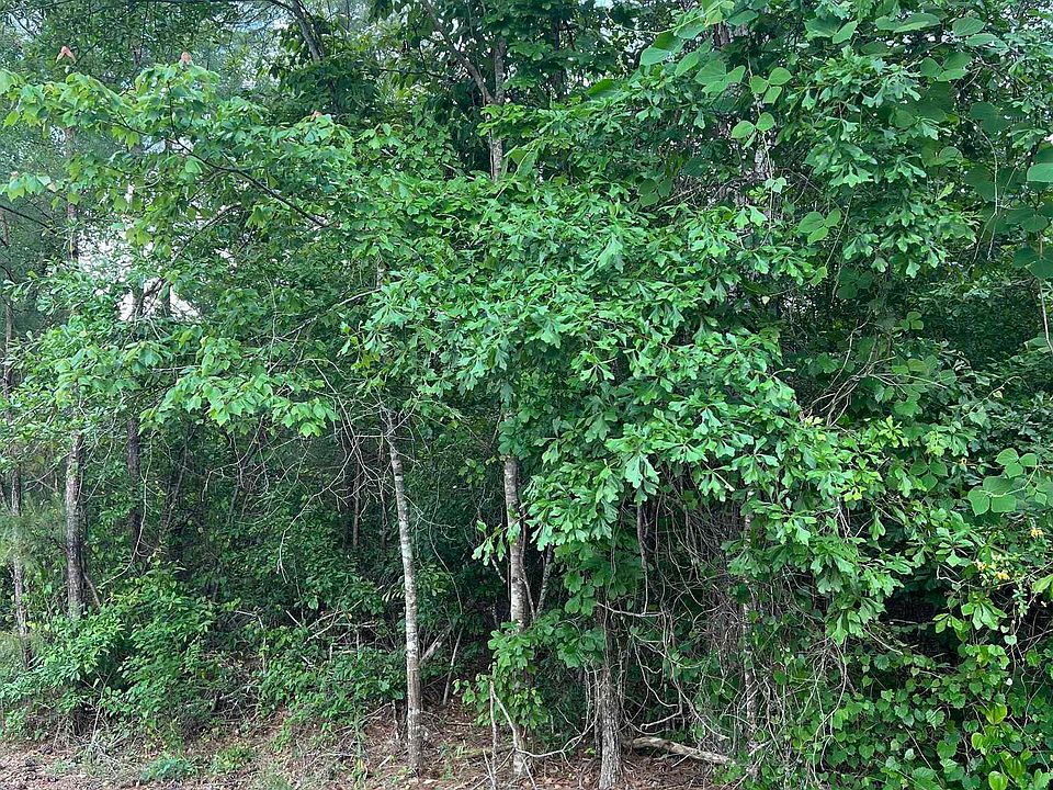 1st image of 0 Waterford Dr