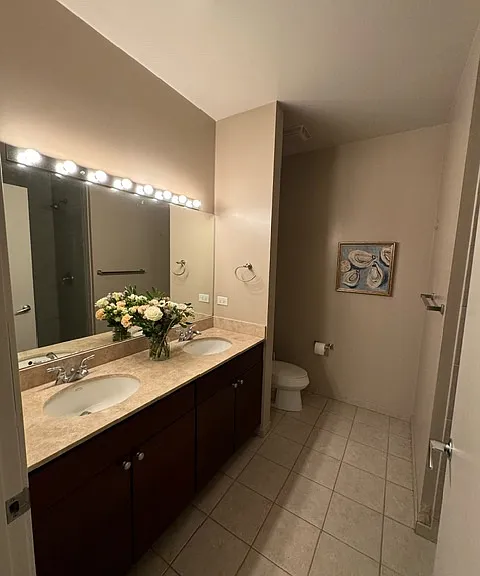 700 N Larrabee St #812 — Photo 8