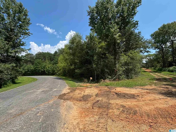 0 Cliff Springs Rd, Oneonta, AL 35121