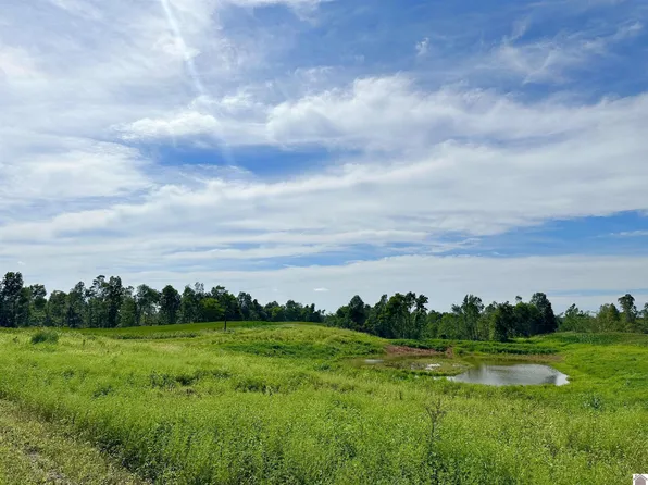 0 Ted Embry Rd #295, Kuttawa, KY 42055