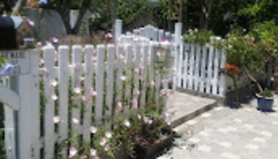 This i a singkle level HOUSE( not in an apartment complex)

Photo shows the 
Front of house with mature landscaping