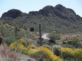 5th image of 4260 S Camino De Vida