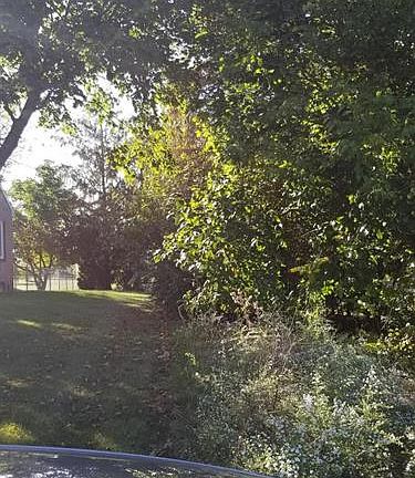 5th image of 100 Belview Dr