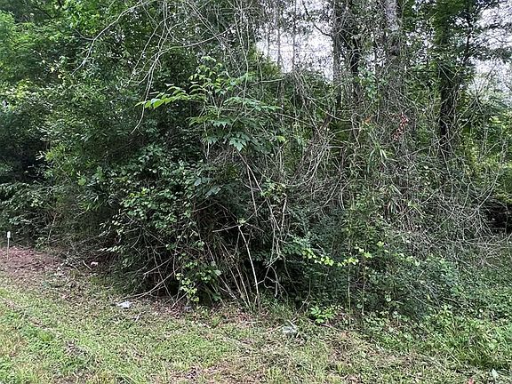 2nd image of 1003 Shady Ln