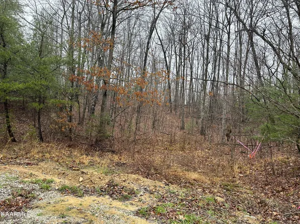 Woodland Trl, Sunbright, TN 37872