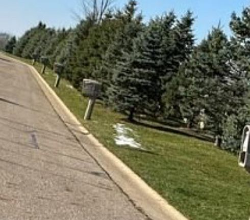 Exterior Neighborhood (street photo)