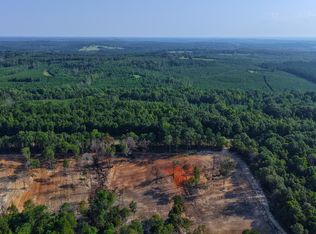 0 County Road 404, Elba, AL 36323