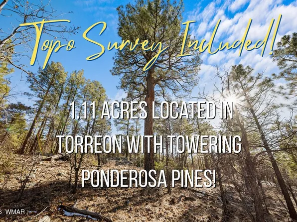 1481 S Snowberry Loop, Show Low, AZ 85901