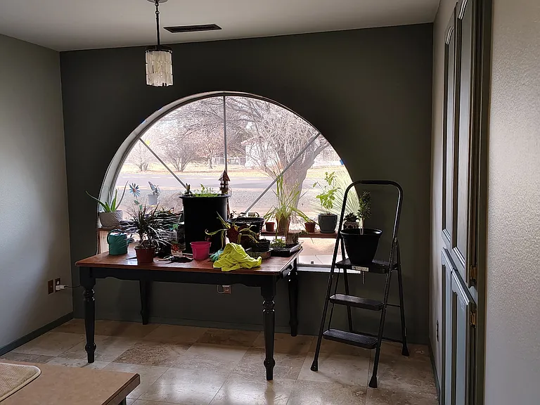 11873 E Turquoise Cir — Photo 20