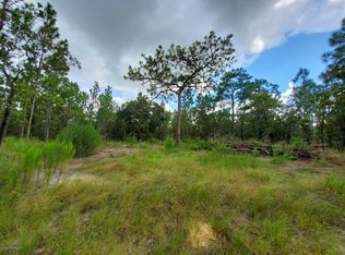 13166 Albany Rd, Weeki Wachee, FL 34614