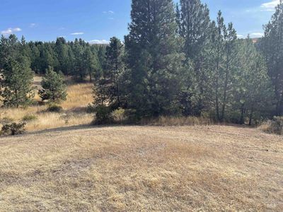 Wallen Rd, Moscow, ID, 83843