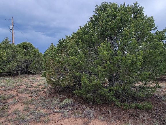 4th image of Comanche Dr #109