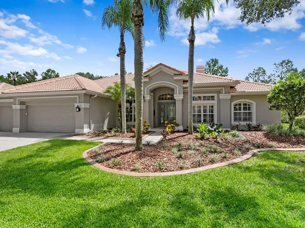 17818 Arbor Greene Dr, Tampa, FL 33647