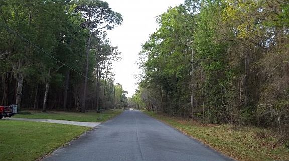 5th image of 8518 N Ocoee Ter