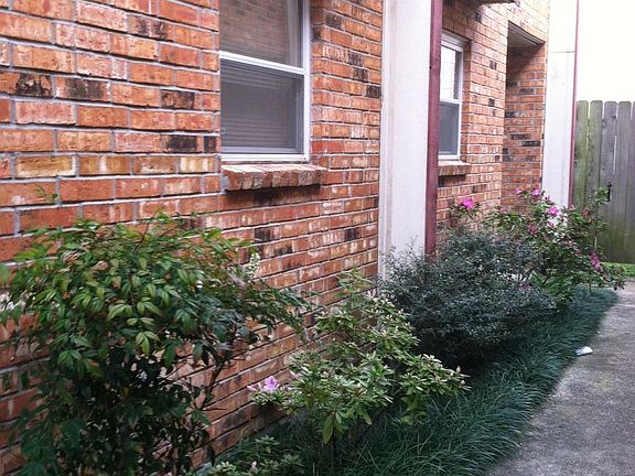3rd image of 8017 Bullard Ave APT C