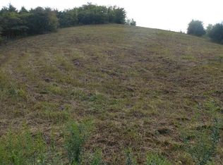 505 Lane Hollow Rd, Sevierville, TN 37876