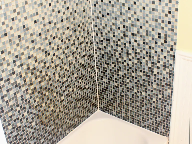 20 Wainwright St #2 — Photo 34