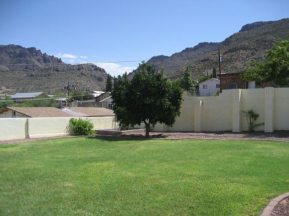 Back yard