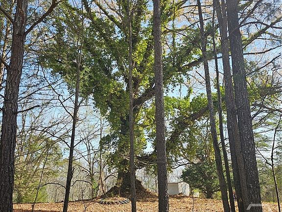 5th image of 6291 Colham Ferry Road