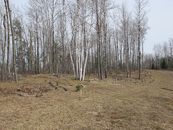 5th image of Breitung Township