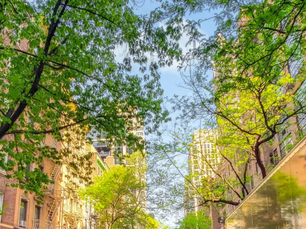 223 East 50th Street image 9 of 18