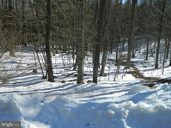 2nd image of LOT 19 Walnut Dr Lot 19