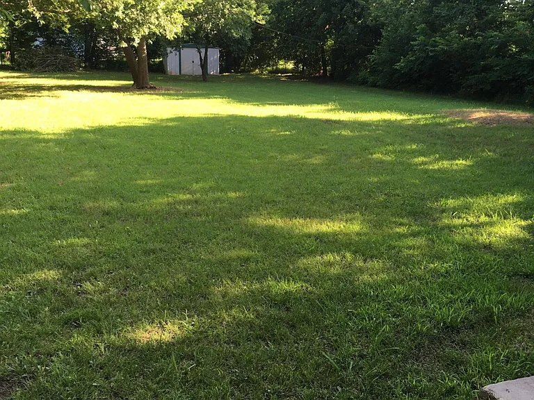Back yard