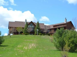 3161 Shook Rd, Wolverine, MI 49799