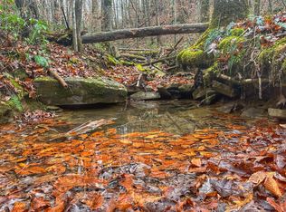 0 Campground Rd, Sunbright, TN 37872