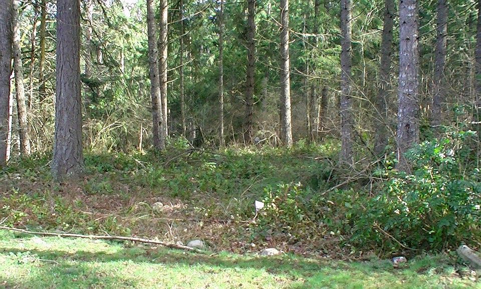 1st image of 17716 Clear Lake Blvd SE