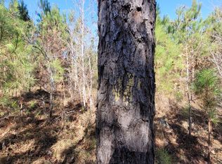 TRACT Two 0 Alabama Hwy #44, Brilliant, AL 35548