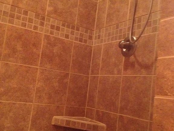 Master bathroom shower 