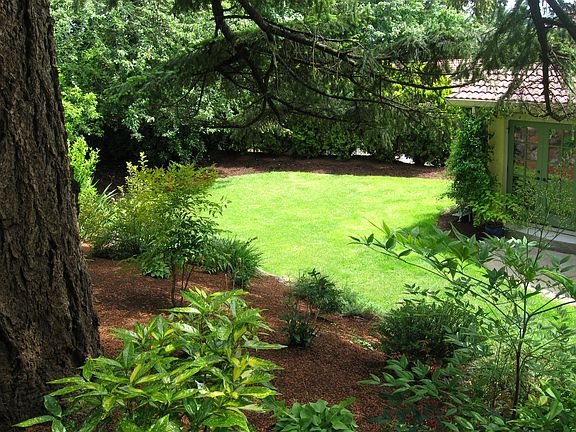 Back Yard 1/3 Acre Lot