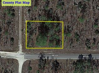 14 NE 150th Ave LOT 14, Williston, FL 32696
